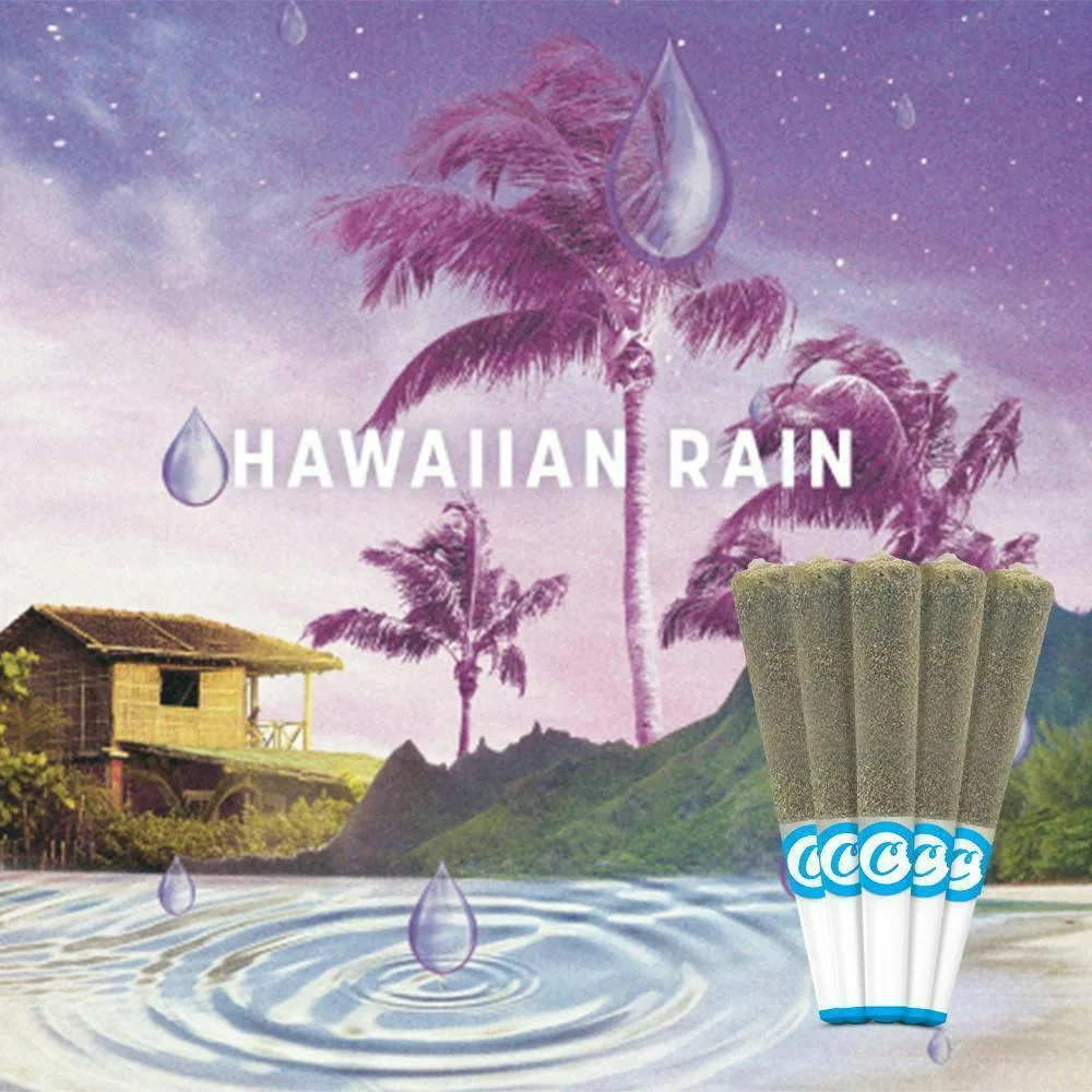Cookies - 5 Pack Infused Pre Roll - Hawaiian Rain