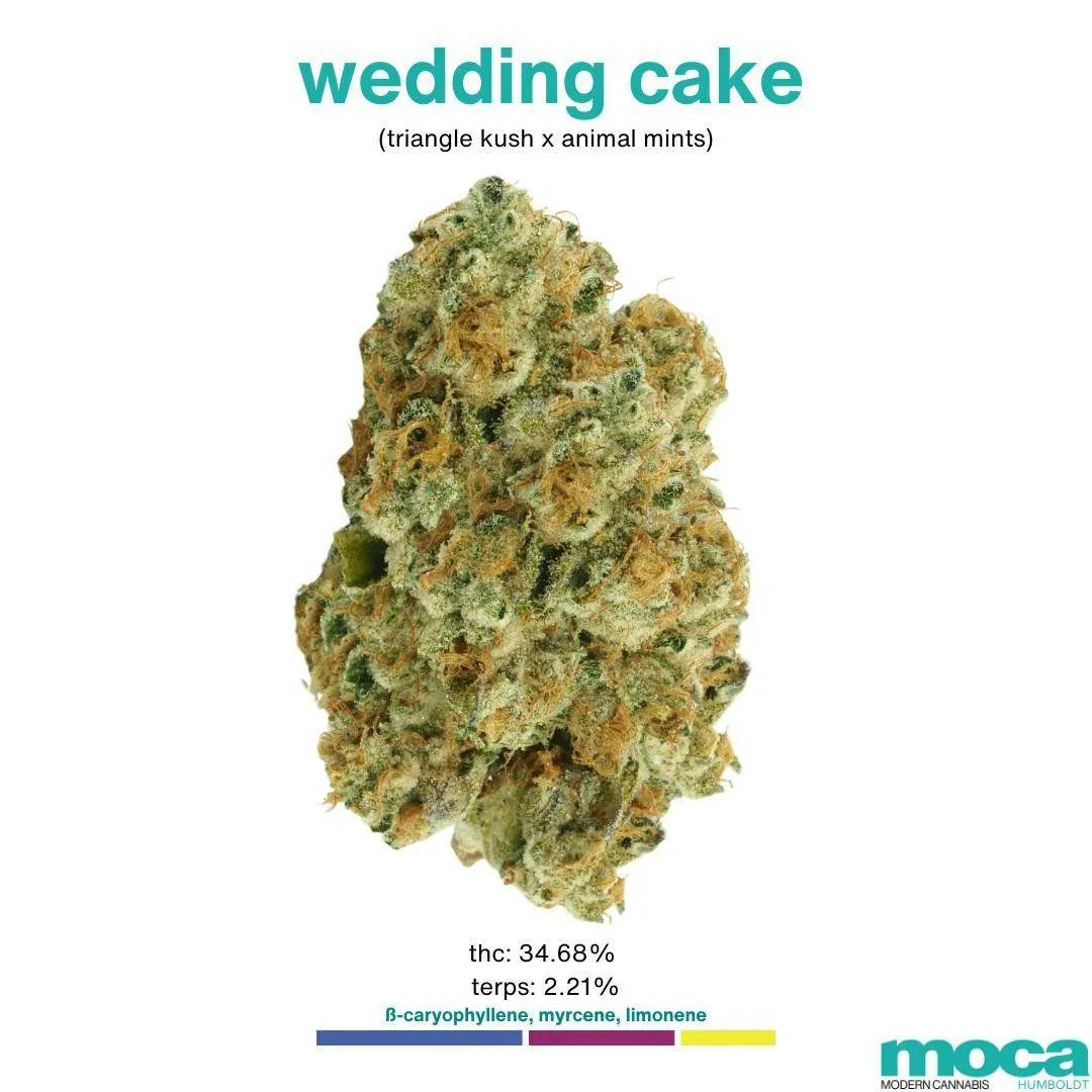 MOCA Flowers - 1/8th Jar - Wedding Cake