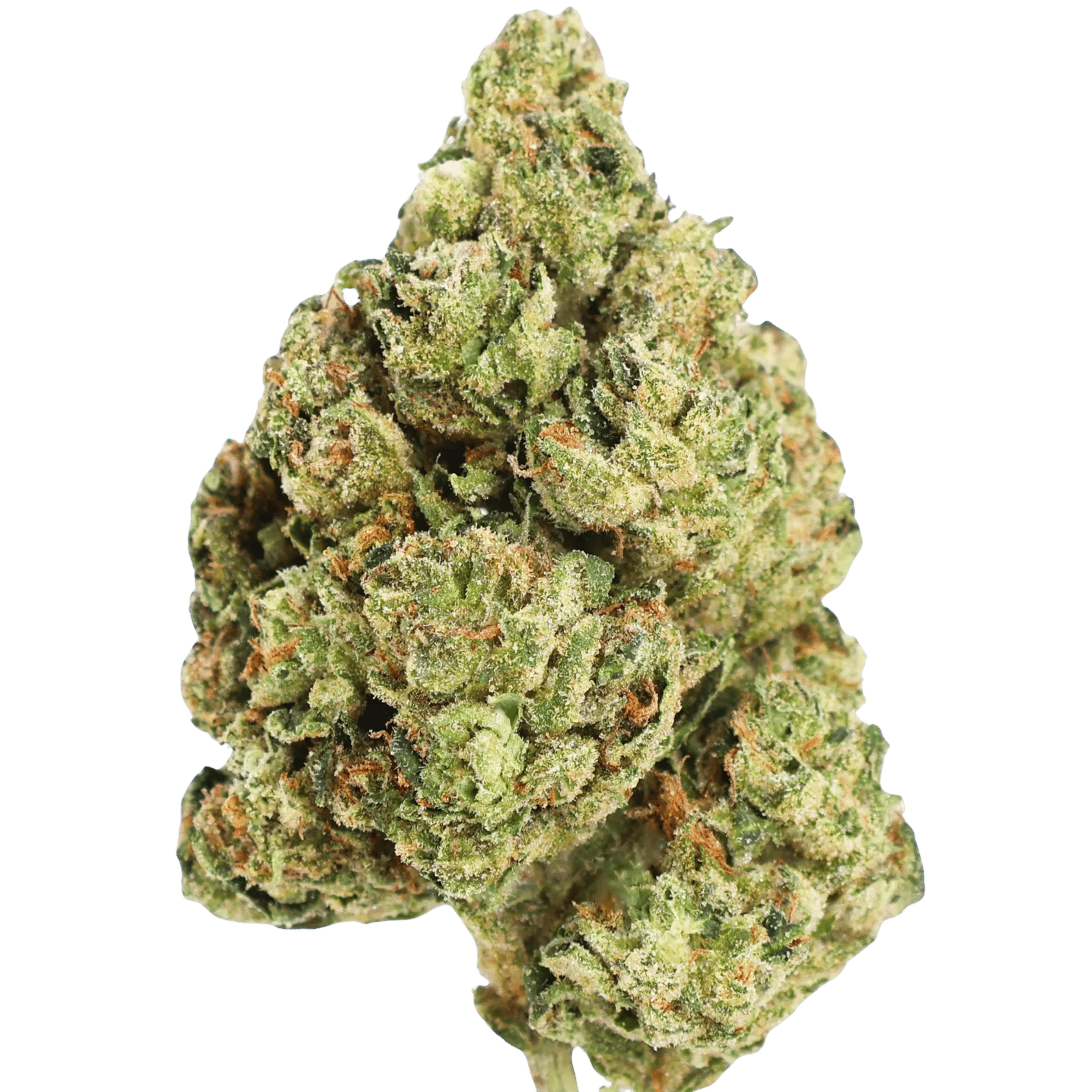 MF - CROWN HEADZ - 5 GRAMS