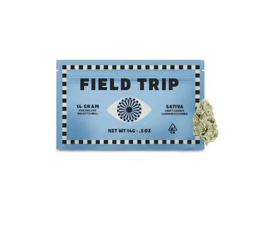 NY Haze [S] - 3.5G Roll Your Own Prepack