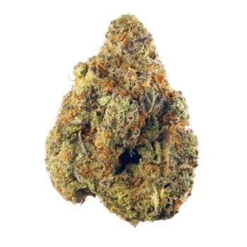 Marygold | Italian Ice | Big Buds | 3.5g