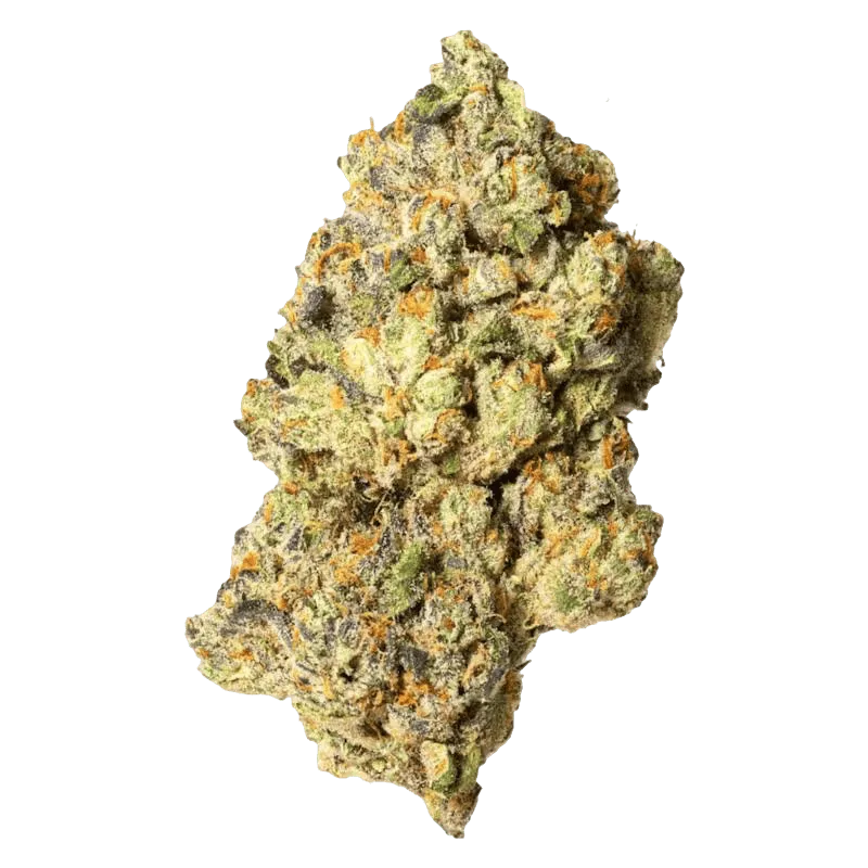 VANILLA ICE: Top Shelf, Sativa