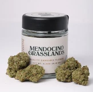 Garlic Haze - 4.2 g