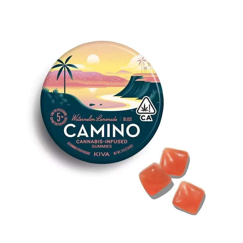 Camino- Watermelon Lemonade