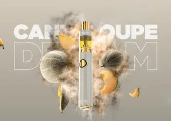 CANTALOUPE DREAM