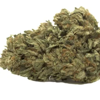 LYFE TREE; DOLATO (S) 28g + - Premium (High THC)