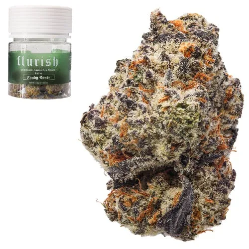 Flurish | Candy Runtz - 3.5G Premium THCa Flower