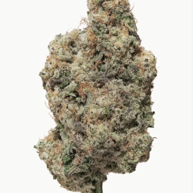 Herbarium - White Gummiez Shake Flower 28g