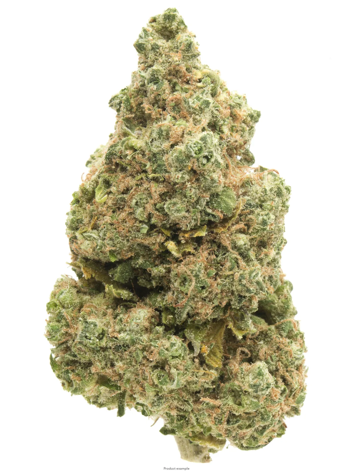 OUNCE SPECIAL- EL JEFE