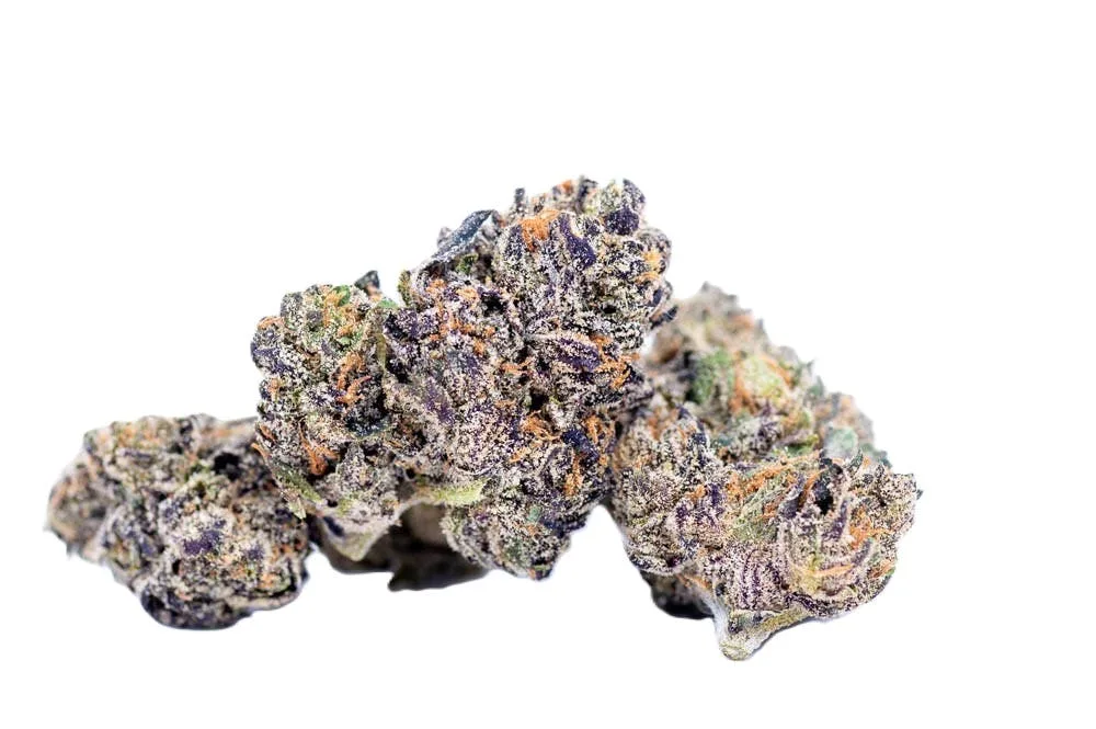 Clout King - Terdz (7G)