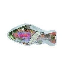 TEDS BUDZ - Rainbow Trout 3.5g