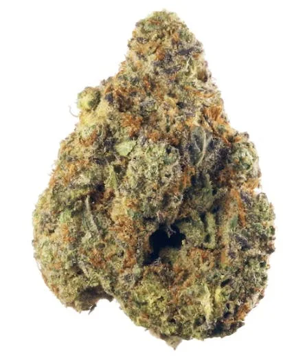 Lemon Zest - Sativa - 30.98% THC