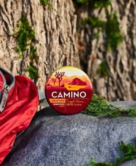 Camino 'Uplifting' Pineapple Habanero Gummies 5mg THC 100mg