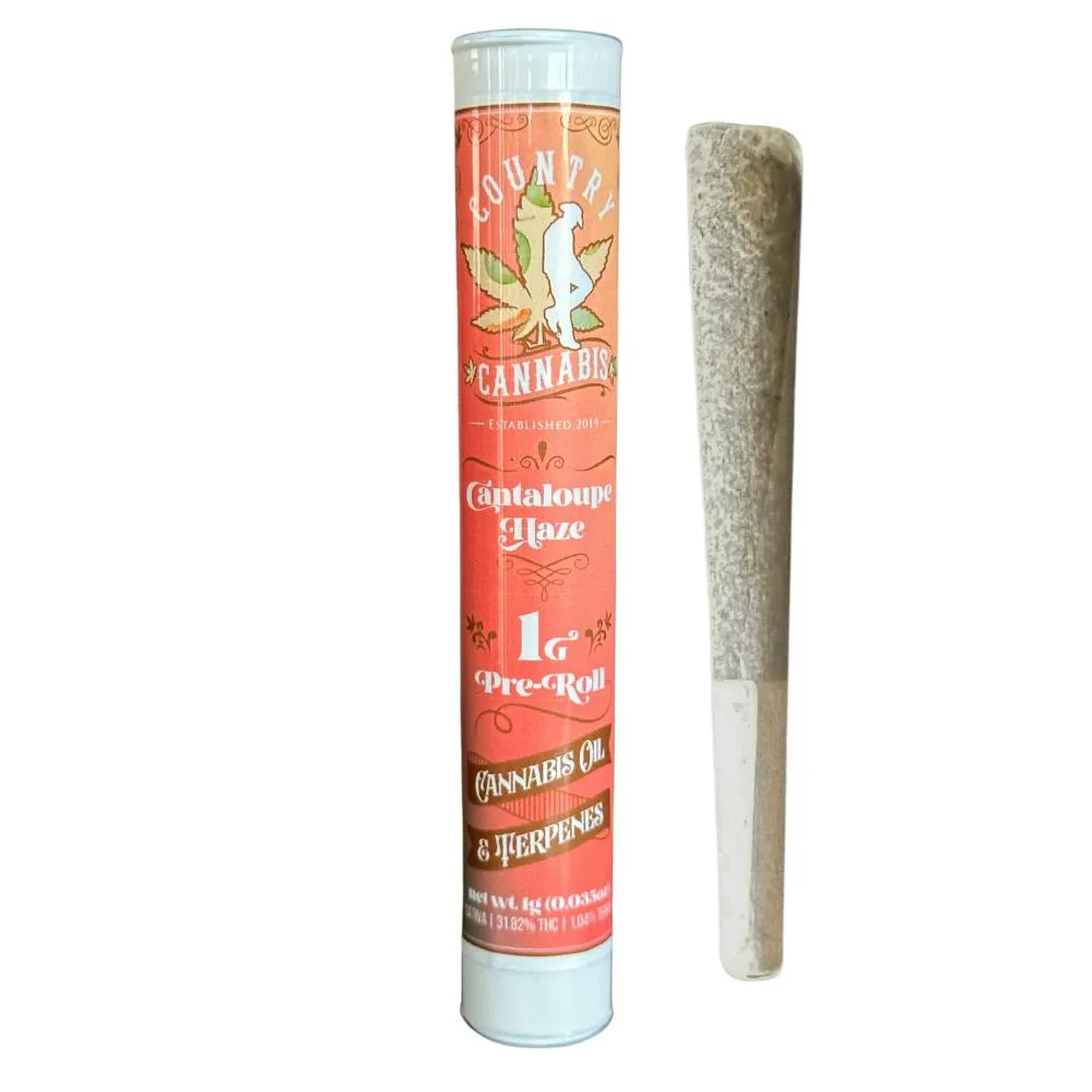Cantaloupe Haze | Infused Pre-Roll | 1G