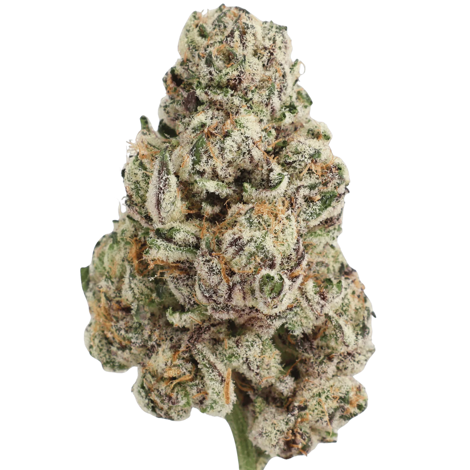 MVN - BLACK MAMBA OG - 10 GRAMS