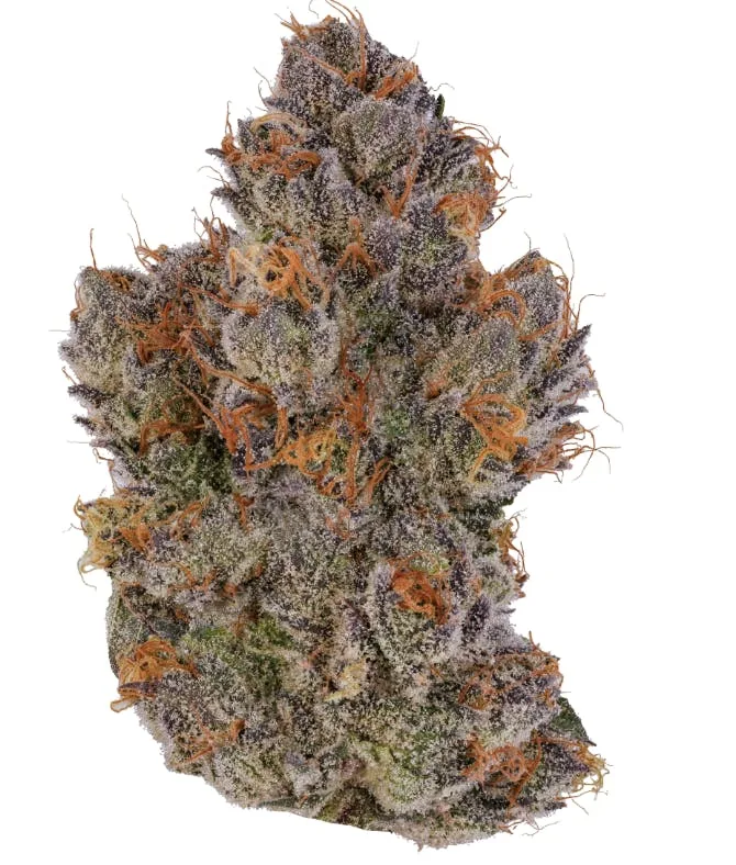 COUCH RIDER - 3.5G - I