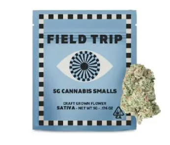 Field Trip - Mango Haze - 5g