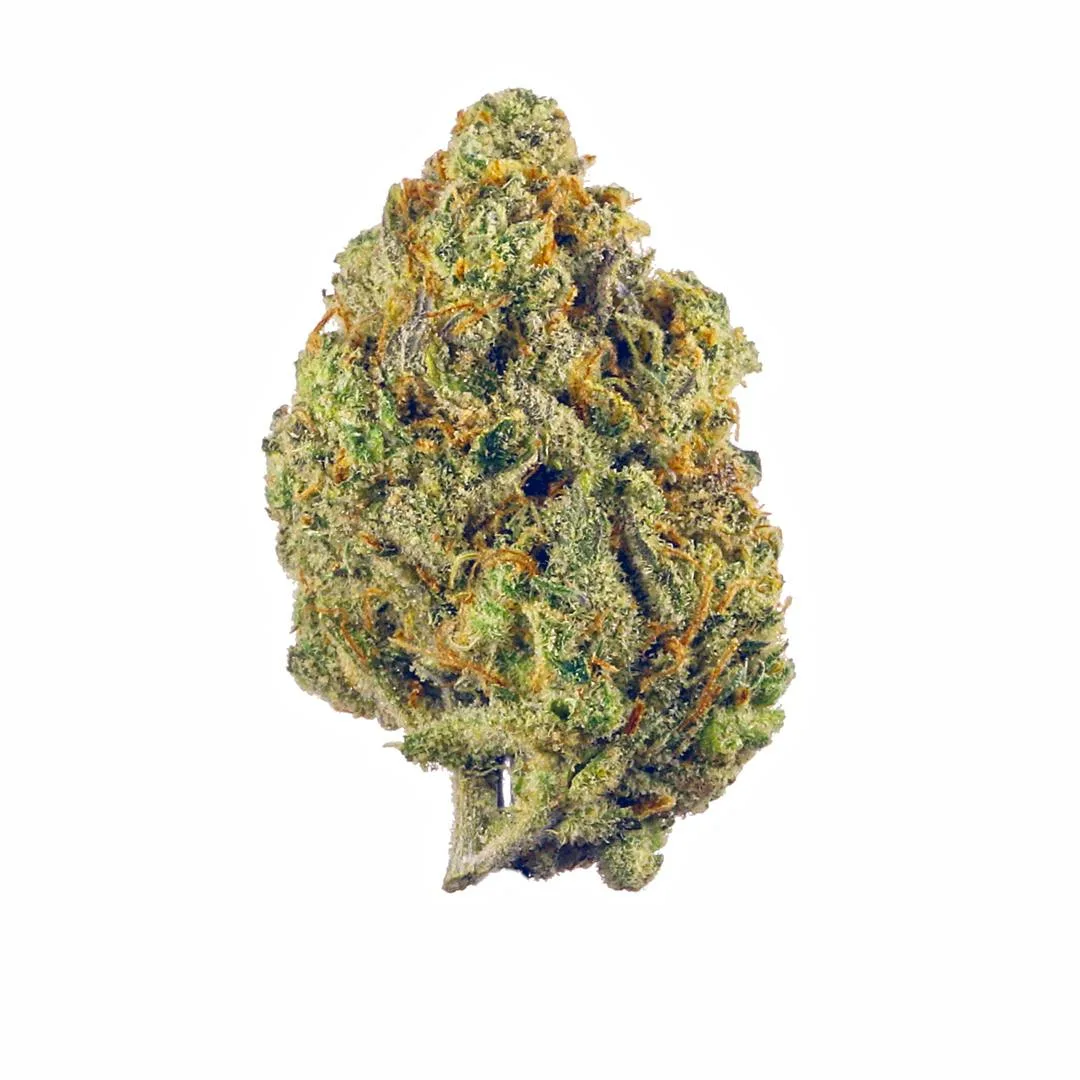 KING KONG GLUE