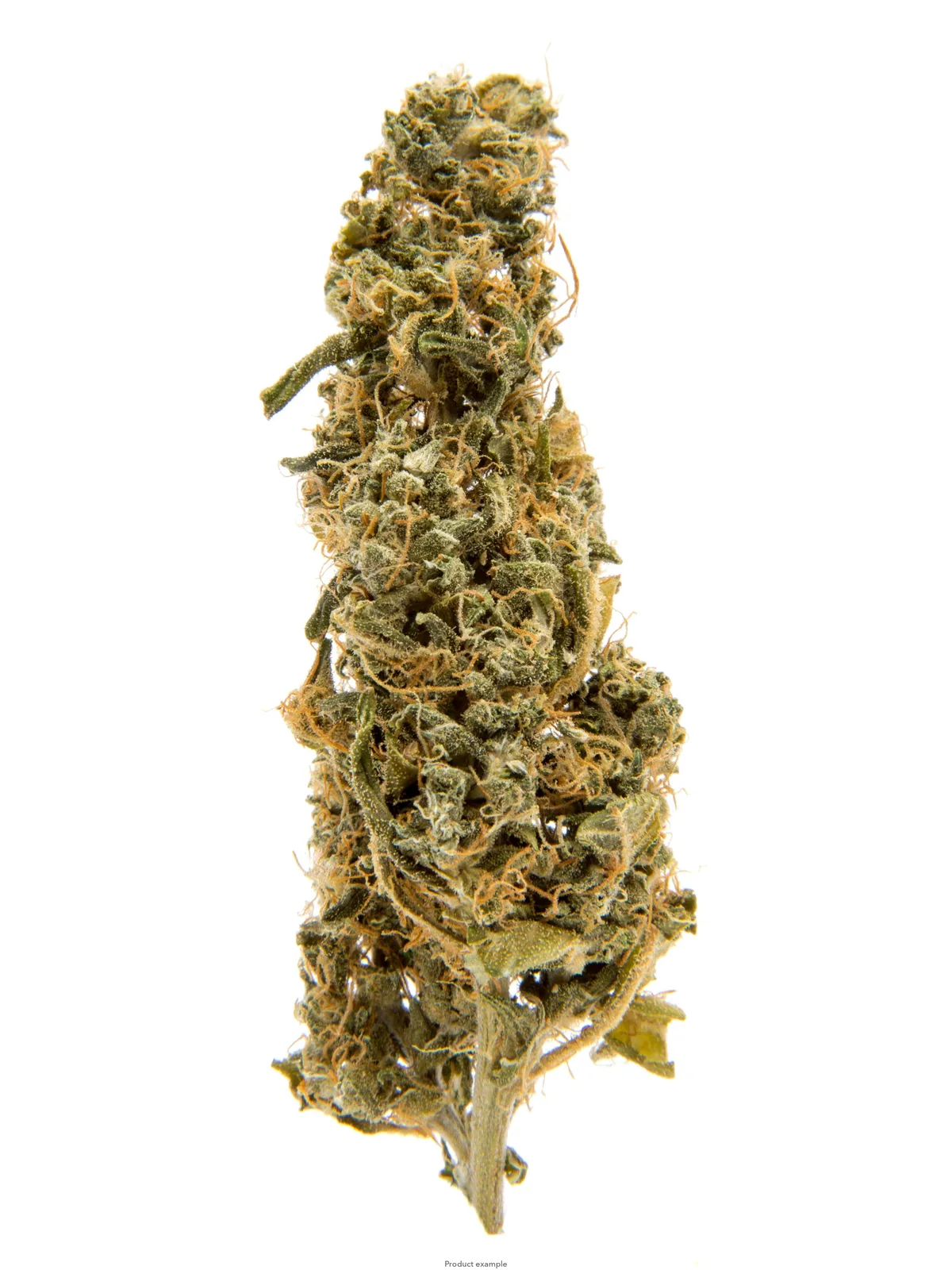 Jack Herer *Midshelf*