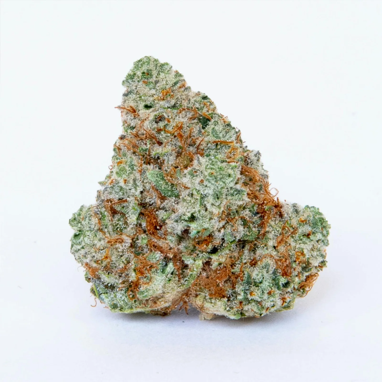 Spanish Lime Haze | 3.5g Indoor