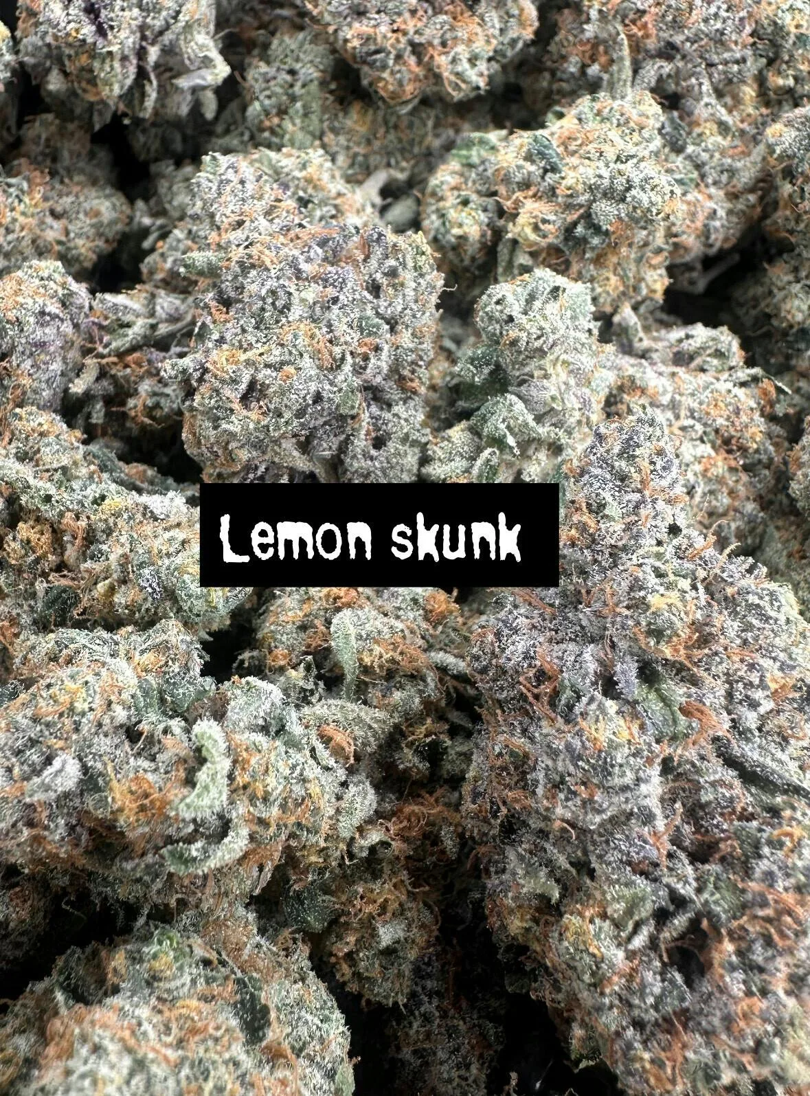 Lemon Skunk