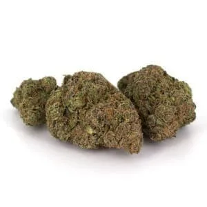 28G • Fresh Spun Cotton Candy | HYBRID | SMALLS