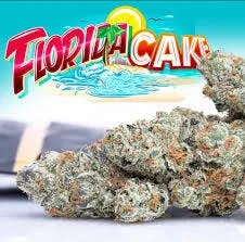 Jungle Boys | Florida Cake - 3.5g Mylar