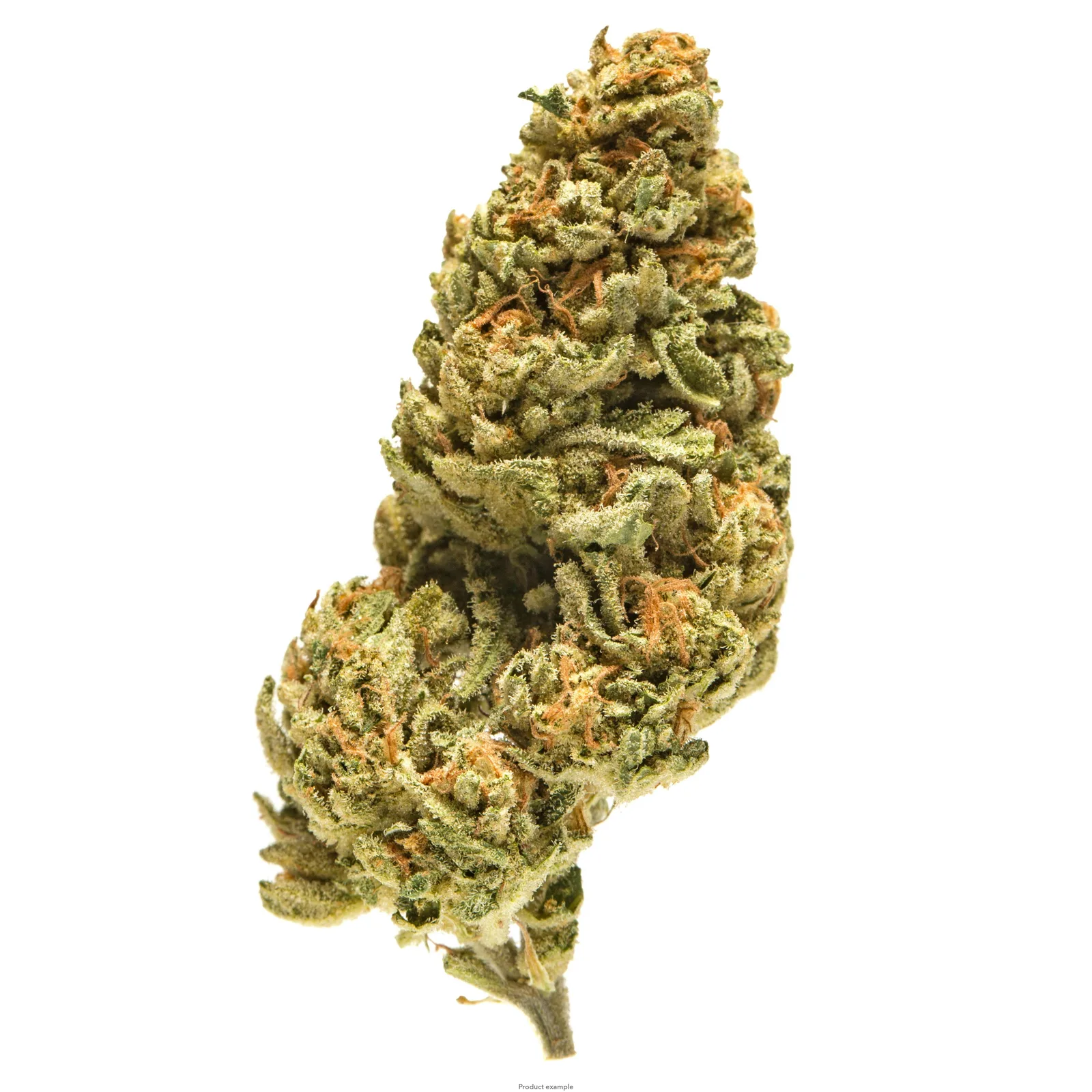 Hot Spot (HYBRID) - HALF SACK - 14g - GSP - Lavi Limited