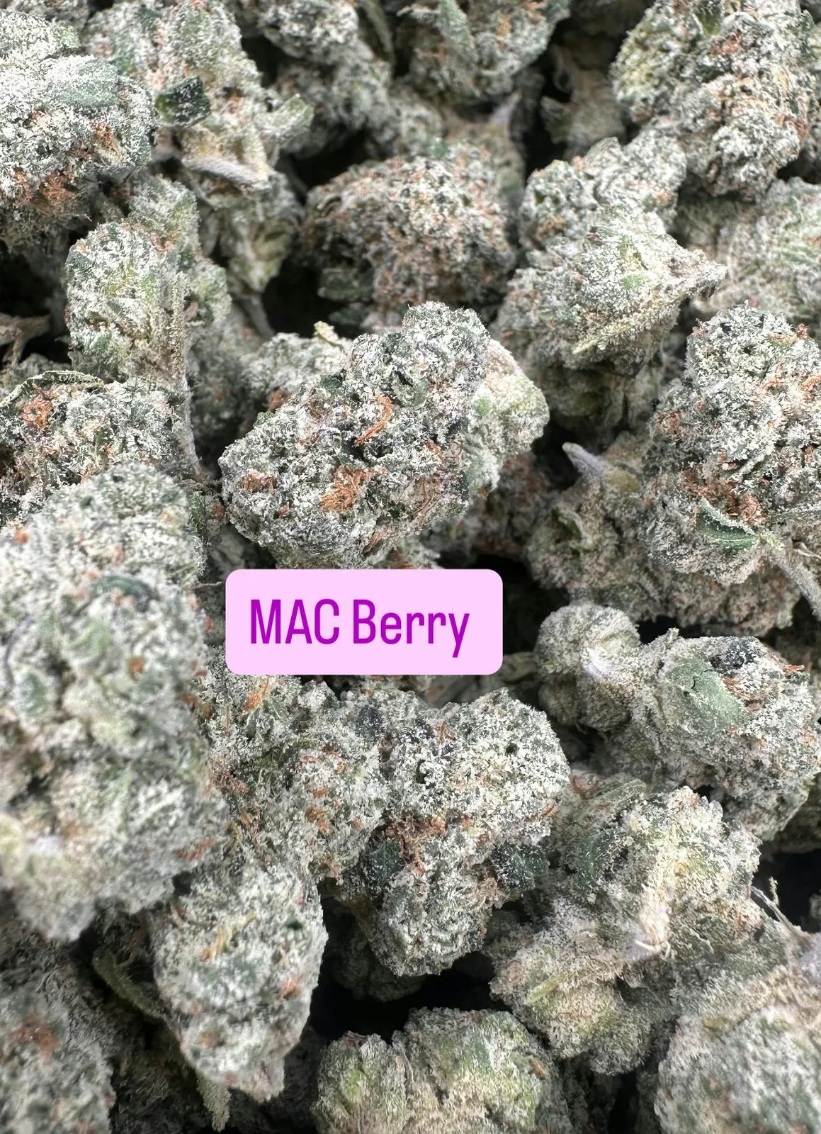 MAC Berry Kush