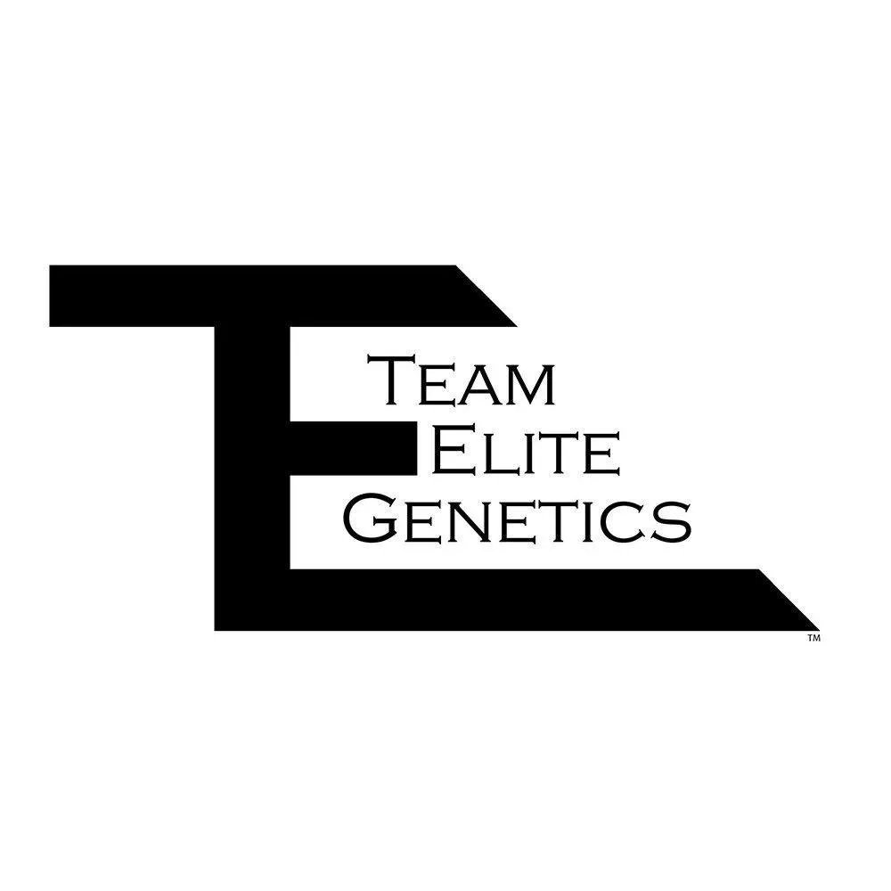 Team Elite Genetics | Cheese Loaf | Love Rosin Concentrate | 1g