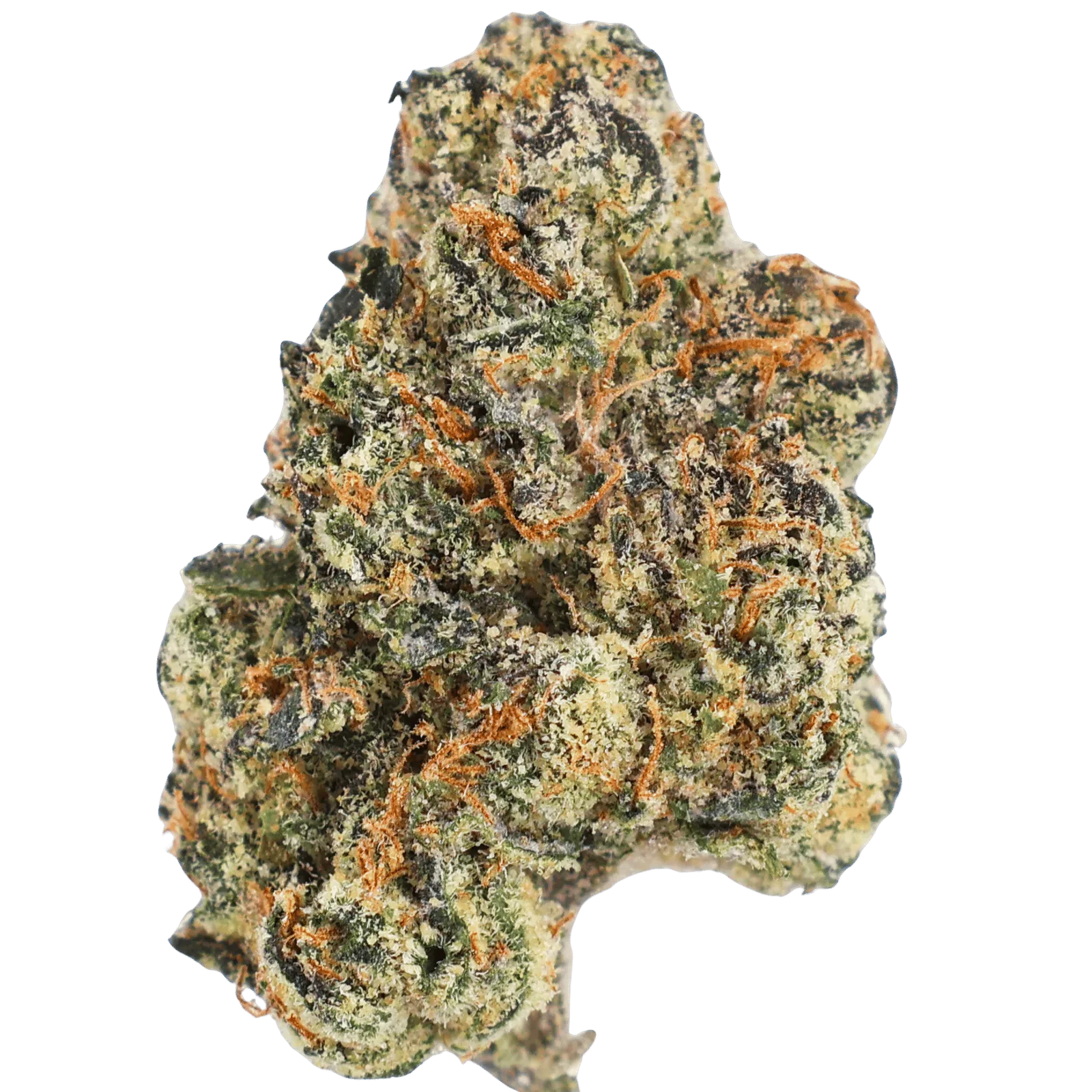 NCWBI - KNOCKOUT BERRY - 5 GRAMS