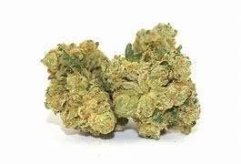 KNOCKOUT OG: Top Shelf Indoor, Indica