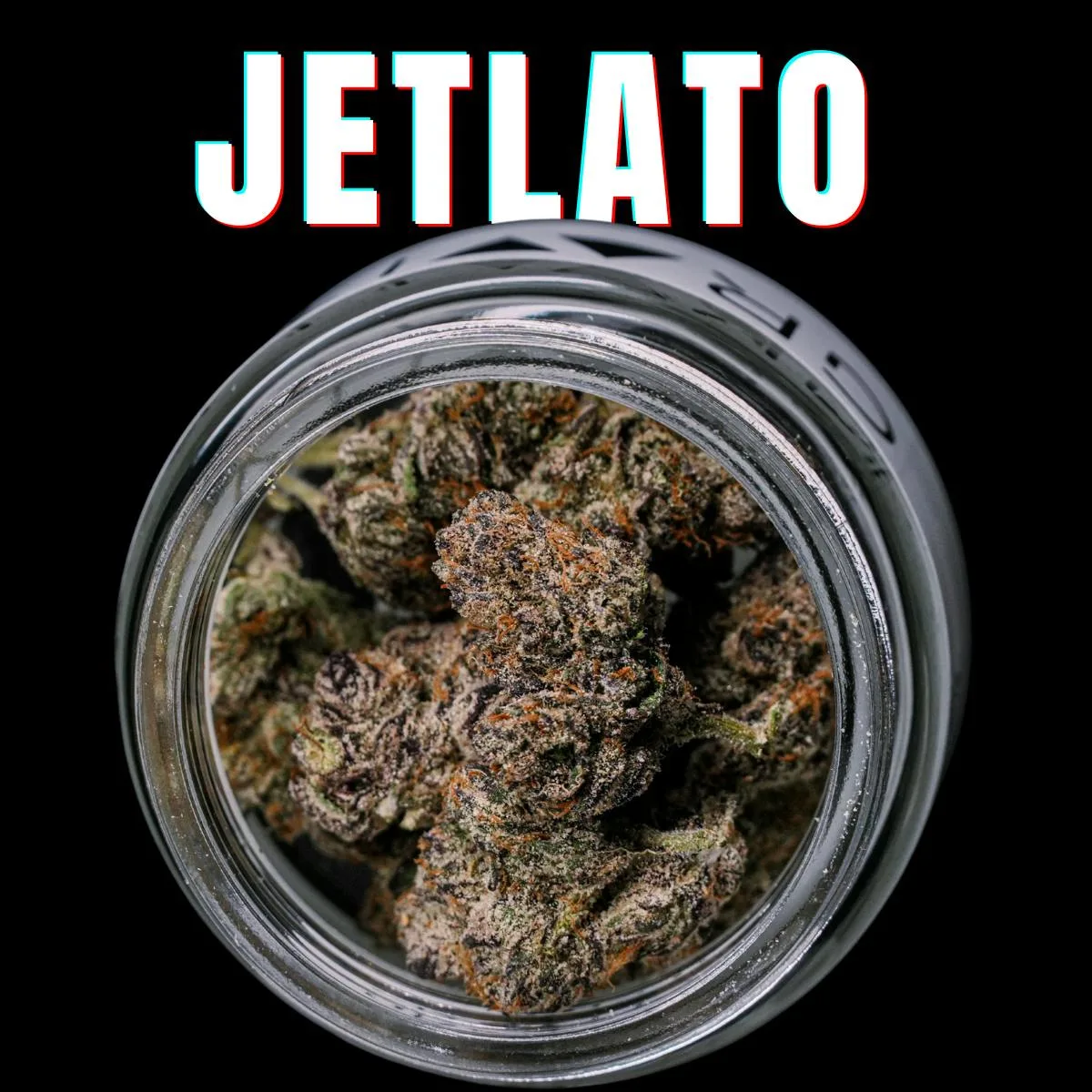 JETLATO - 5 GRAMS
