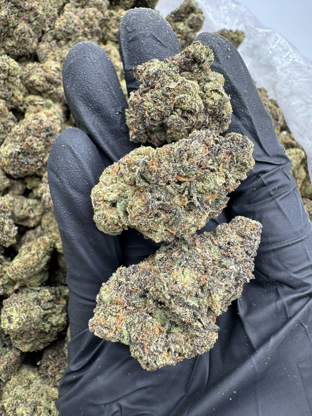 Canna Couriers - Super Candy 3.5g - eighth