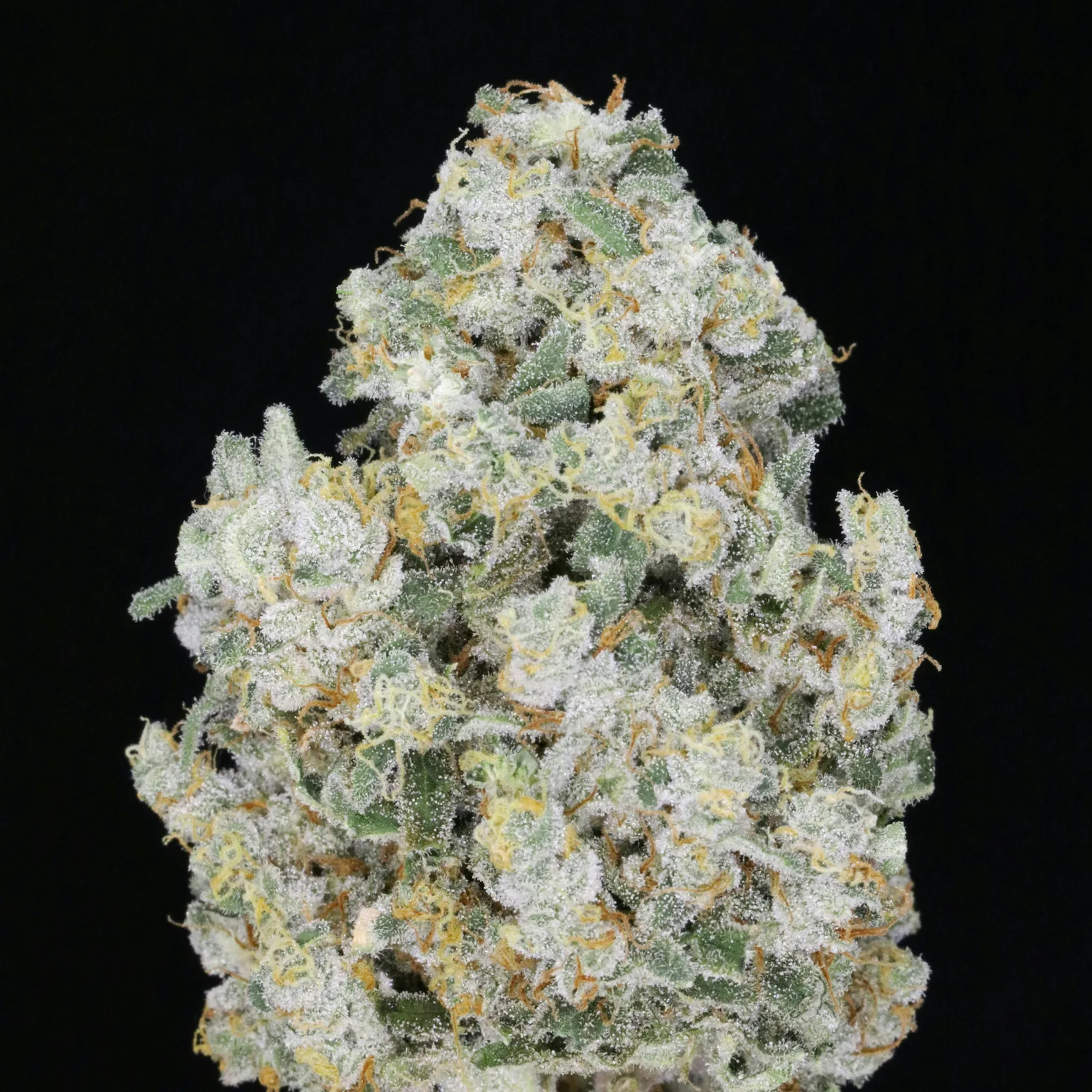 JAHnetics - Trainwreck π