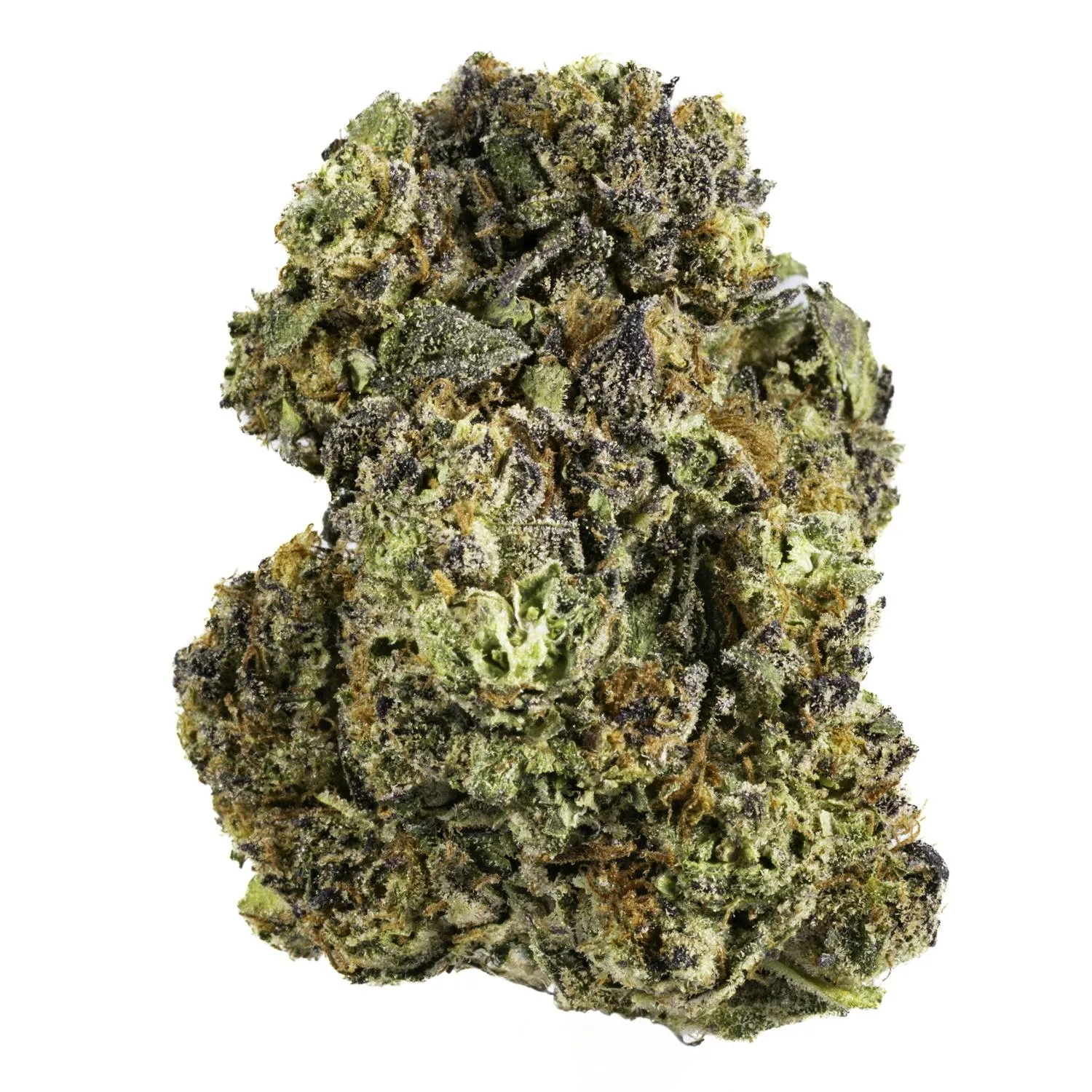 Purpscotti - 28G Premium Flower