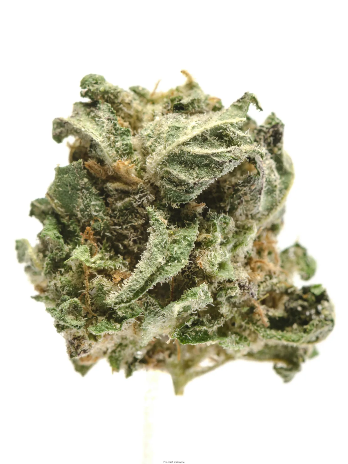 NUG SALAD