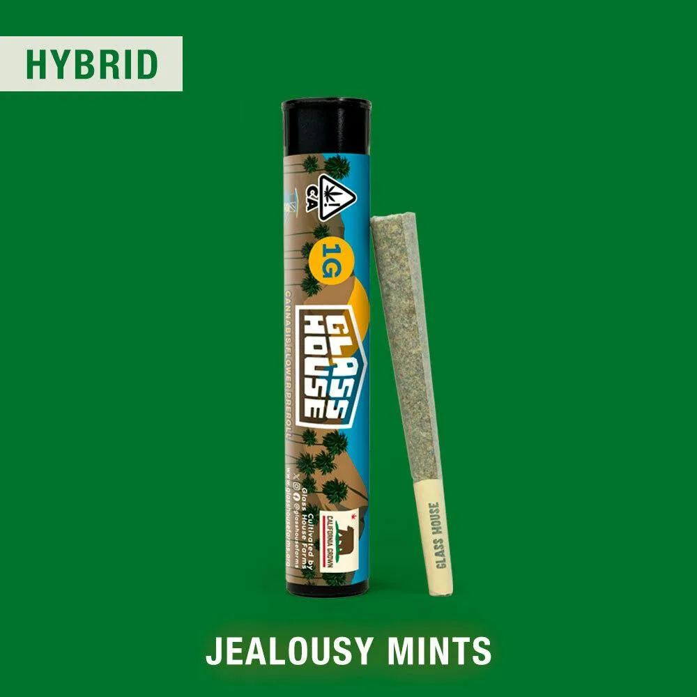 Jealousy Mints [1g Preroll]