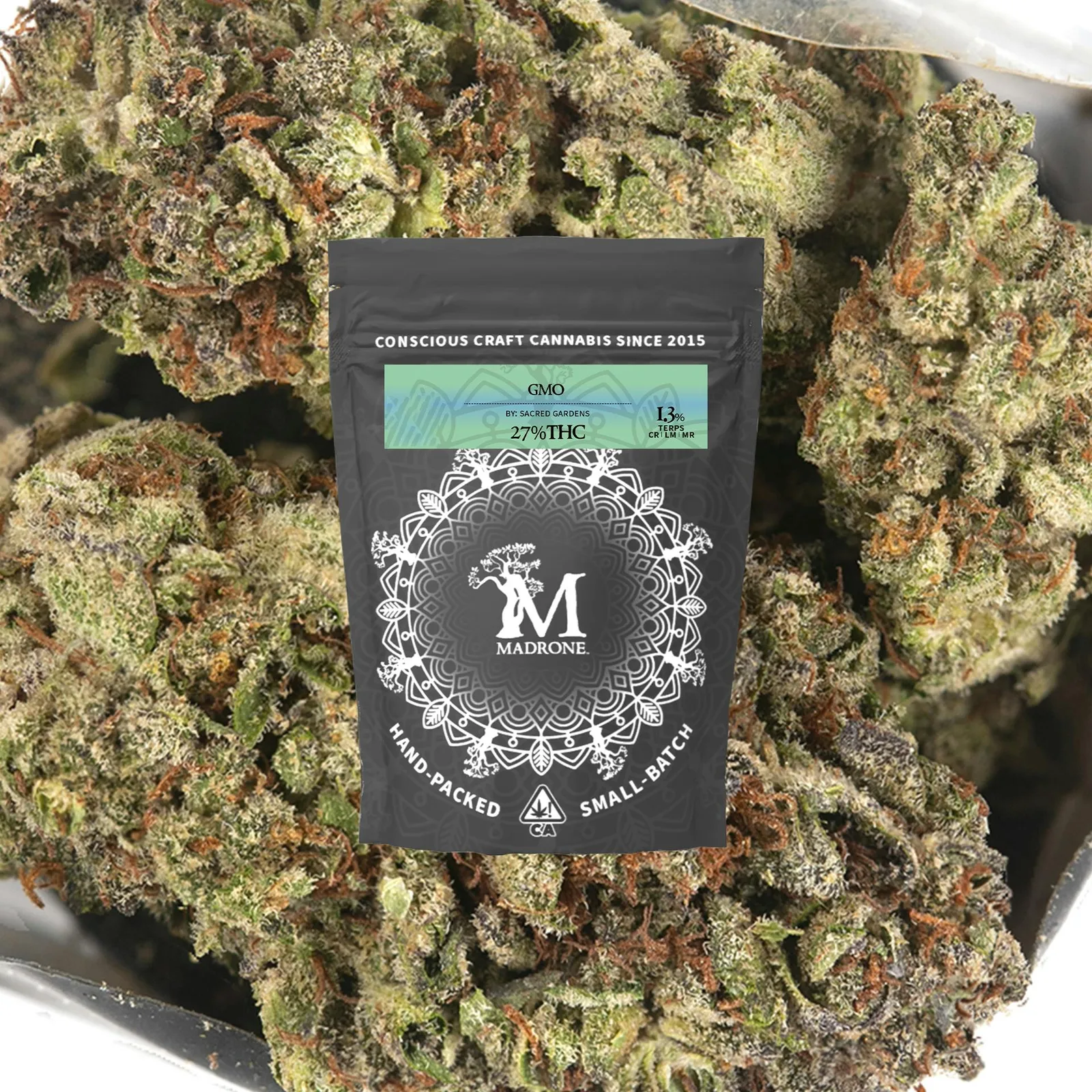 GMO