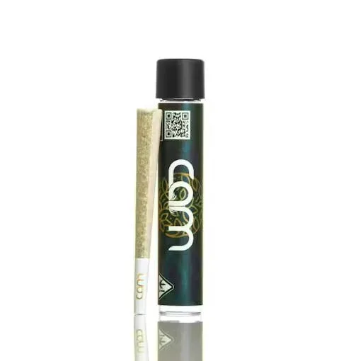 Cam | Pre-Roll | Gmotion | H | 1g