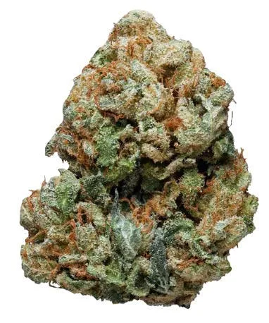 Safety Meeting: Secret Stash - Key Lime Pie (14G)