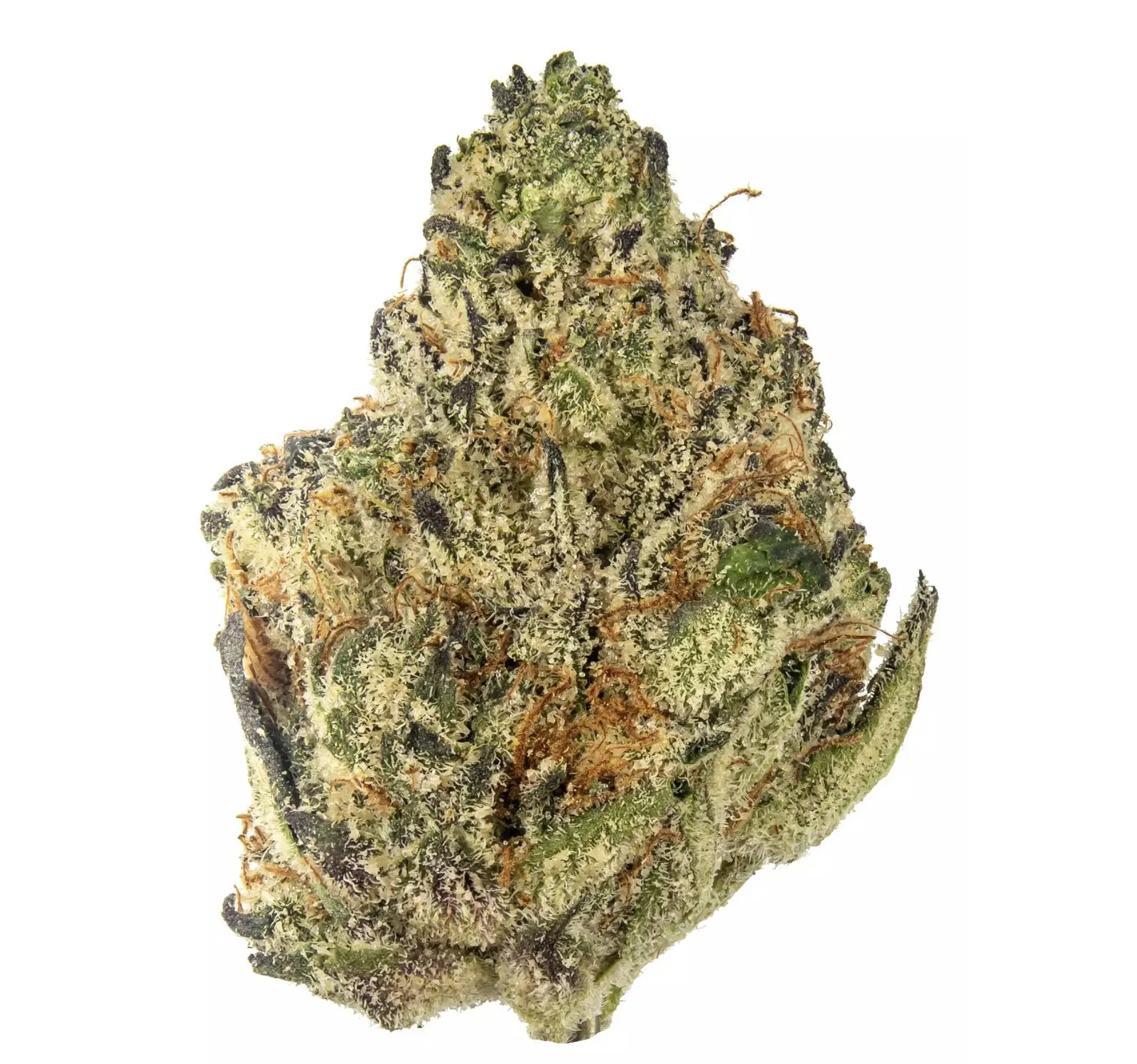 Cream Latte - Hybrid - 32.96% THC
