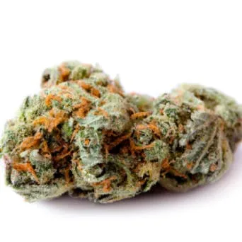 JAHnetics; Chem 91 x Haze (H/I) 3.5 + - Exotic Indoor (High THC)