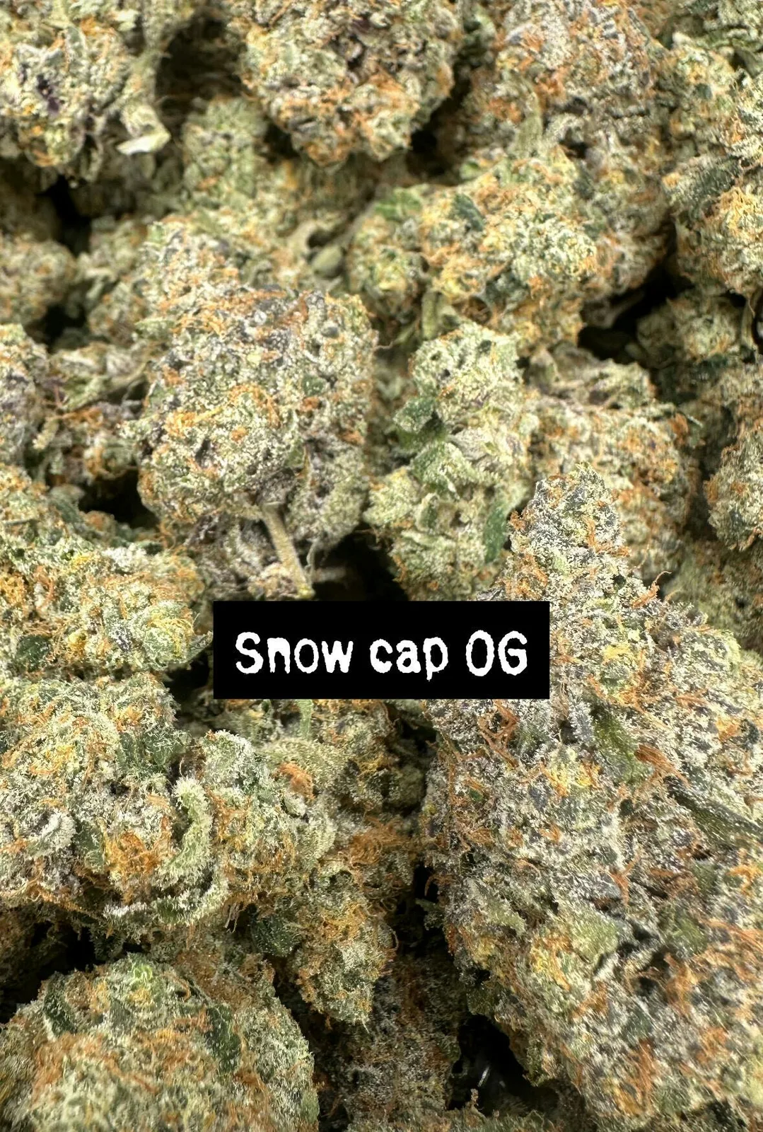 Snow Cap OG