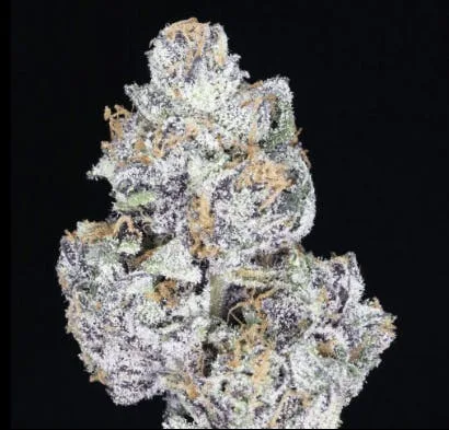 JAHnetics - Bubble Gum JAH 🫧 - Half