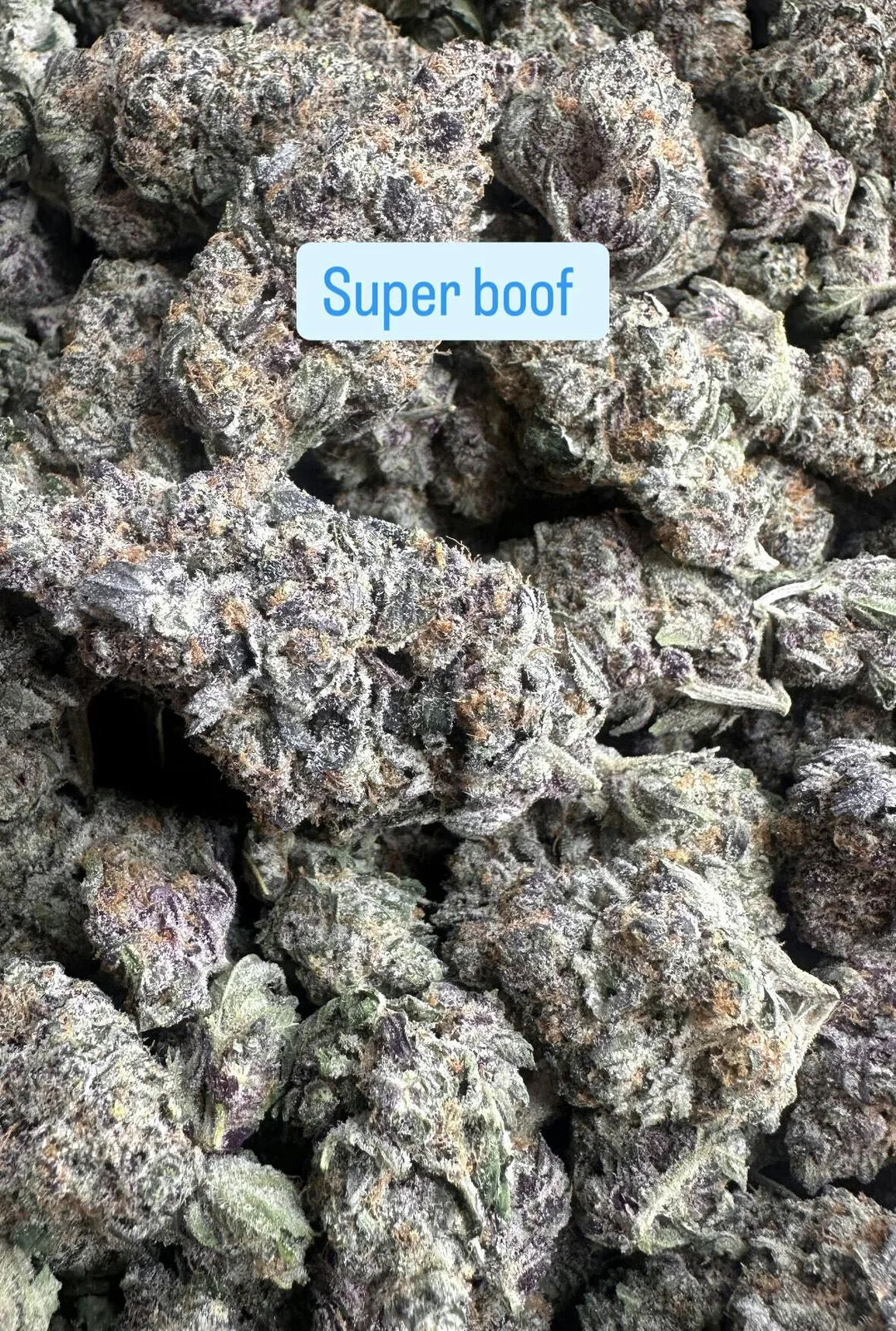 Super Boof