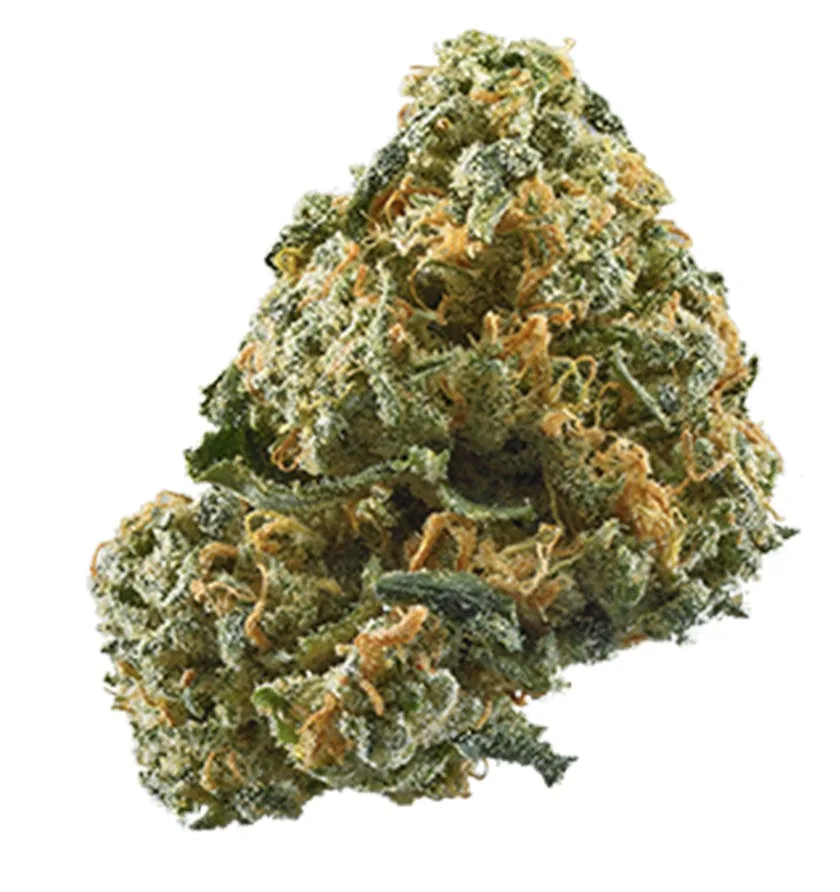 Gary Payton - Hybrid - 35.93% THC