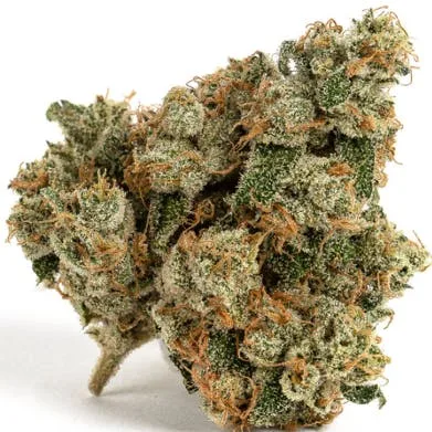 JAHnetics; Banana Haze (S) 3.5g+ - Exotic Indoor (HIgh THC)