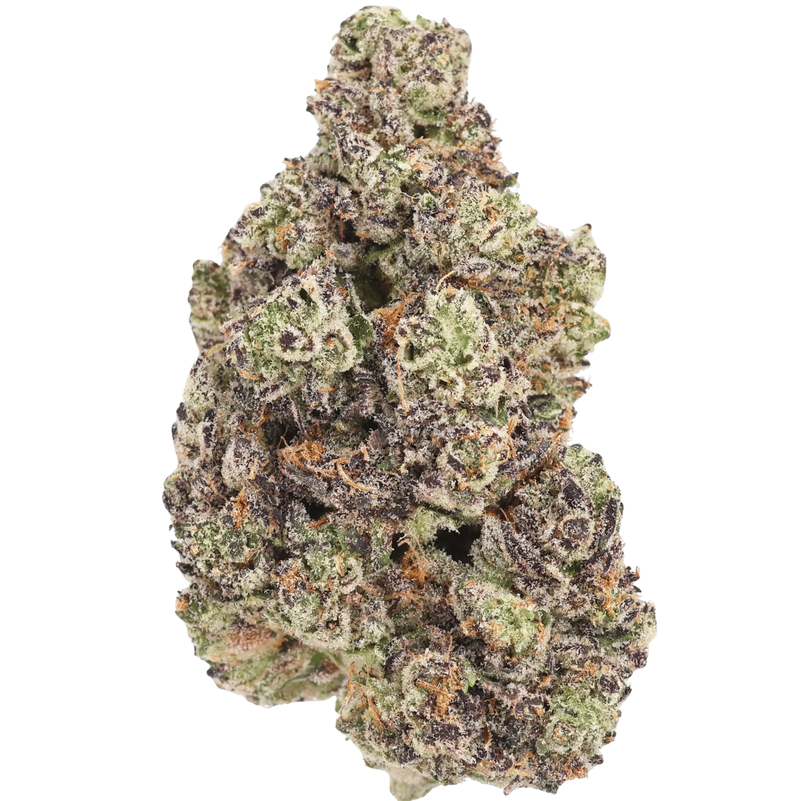 VVI - GASBERRY - 10 GRAMS