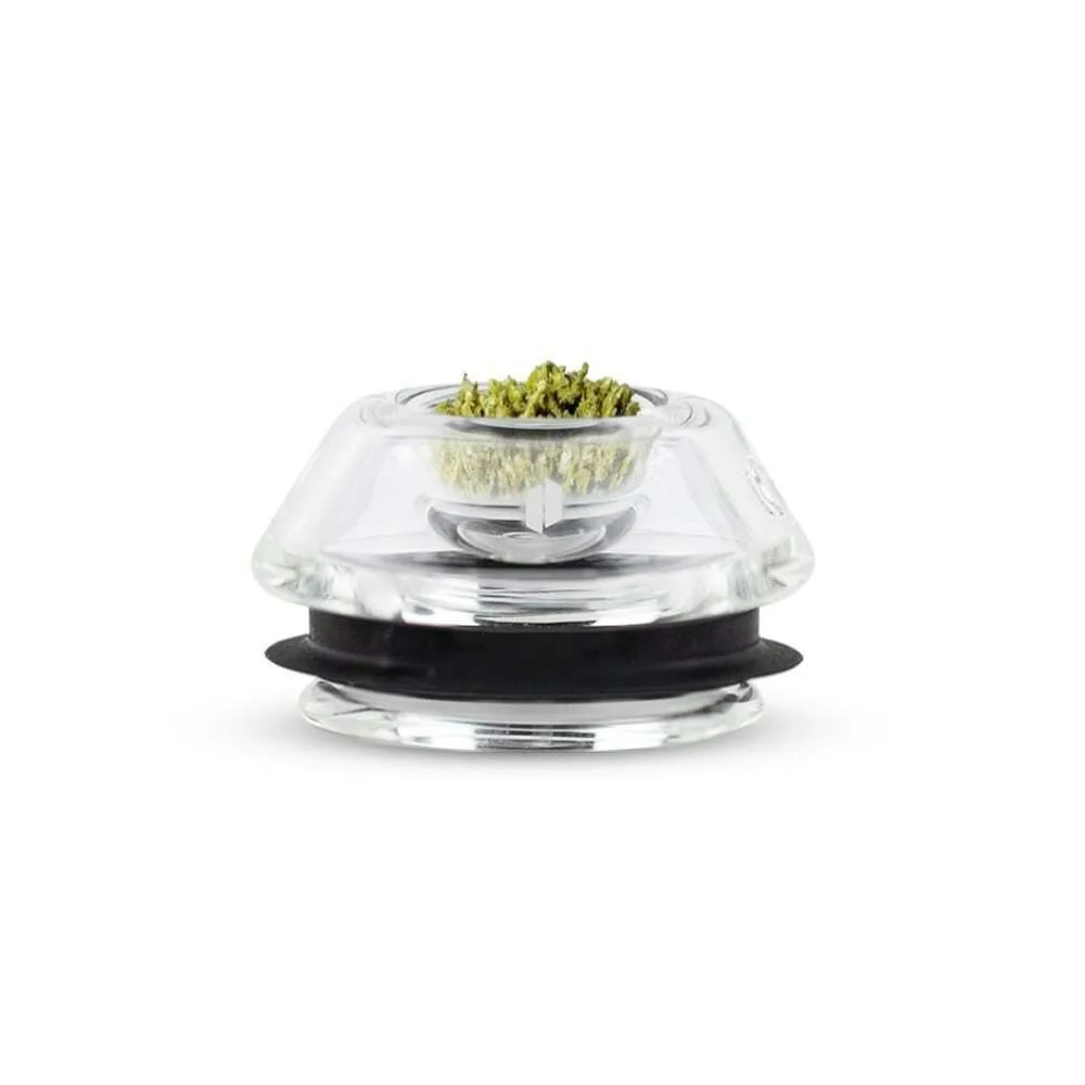 Proxy Flower Bowl